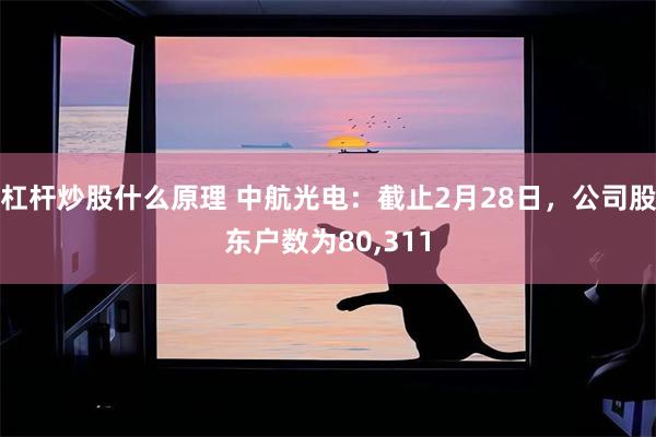 杠杆炒股什么原理 中航光电：截止2月28日，公司股东户数为80,311