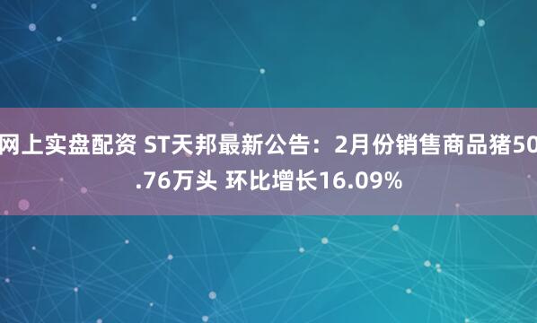 网上实盘配资 ST天邦最新公告：2月份销售商品猪50.76万头 环比增长16.09%