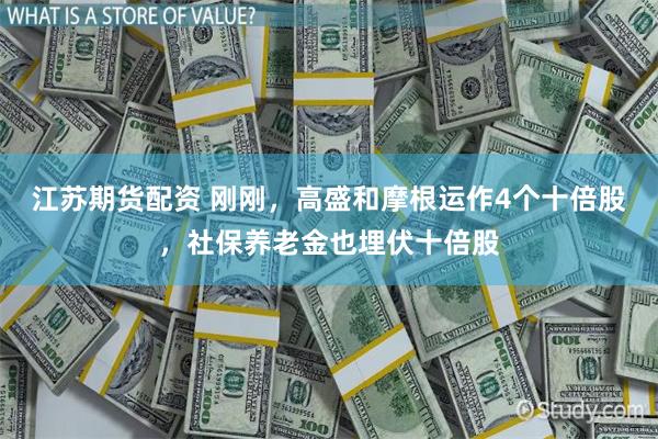 江苏期货配资 刚刚，高盛和摩根运作4个十倍股，社保养老金也埋伏十倍股