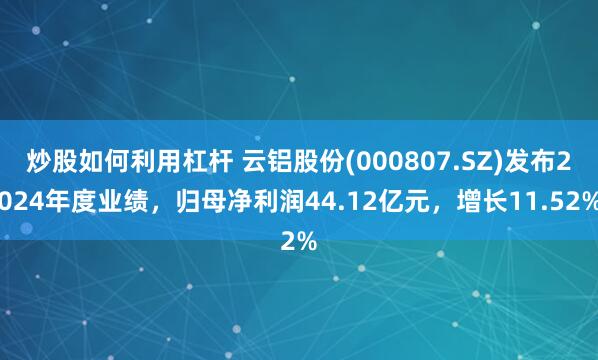 炒股如何利用杠杆 云铝股份(000807.SZ)发布2024年度业绩，归母净利润44.12亿元，增长11.52%