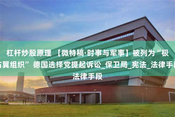 杠杆炒股原理 【微特稿·时事与军事】被列为“极右翼组织” 德国选择党提起诉讼_保卫局_宪法_法律手段