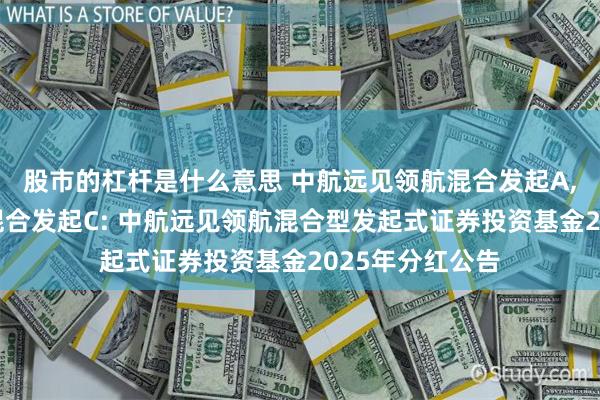 股市的杠杆是什么意思 中航远见领航混合发起A,中航远见领航混合发起C: 中航远见领航混合型发起式证券投资基金2025年分红公告