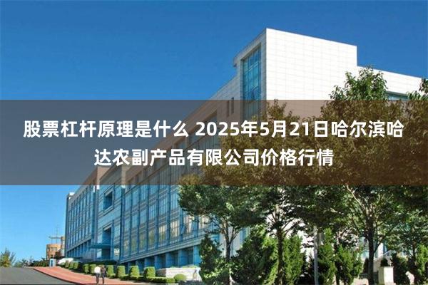 股票杠杆原理是什么 2025年5月21日哈尔滨哈达农副产品有限公司价格行情