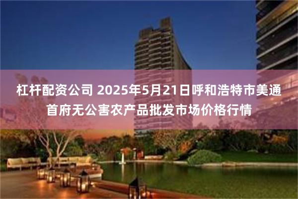 杠杆配资公司 2025年5月21日呼和浩特市美通首府无公害农产品批发市场价格行情