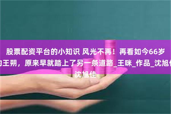 股票配资平台的小知识 风光不再！再看如今66岁的王朔，原来早就踏上了另一条道路_王咪_作品_沈旭佳