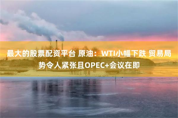 最大的股票配资平台 原油：WTI小幅下跌 贸易局势令人紧张且OPEC+会议在即