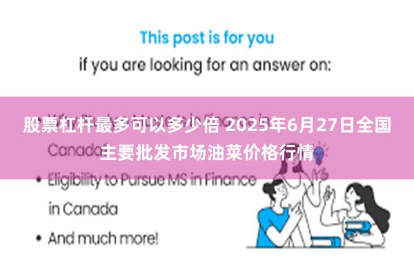 股票杠杆最多可以多少倍 2025年6月27日全国主要批发市场油菜价格行情